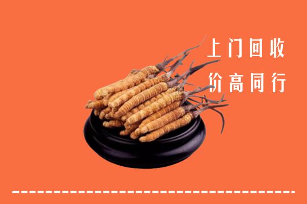 墨脱县回收冬虫夏草