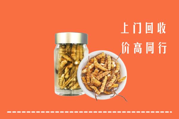 墨脱县回收冬虫夏草